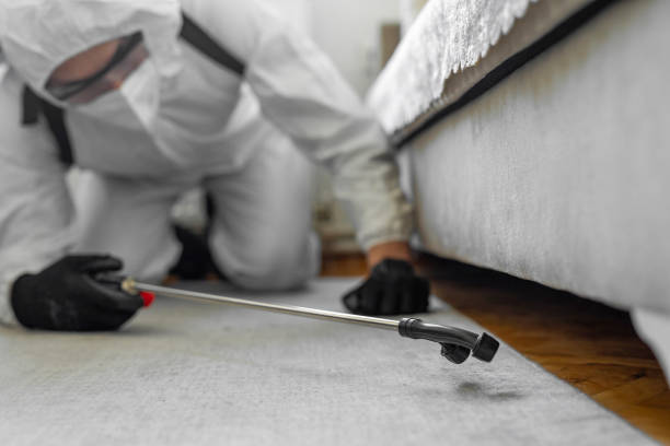 Professional Pest Control technician working in Prairie Village, KS