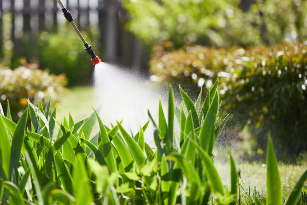 24/7 Emergency Rodent Control experts in Prairie Village, KS