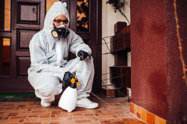 Reliable Rodent Control contractor in Prairie Village, KS by Nex Pest Control