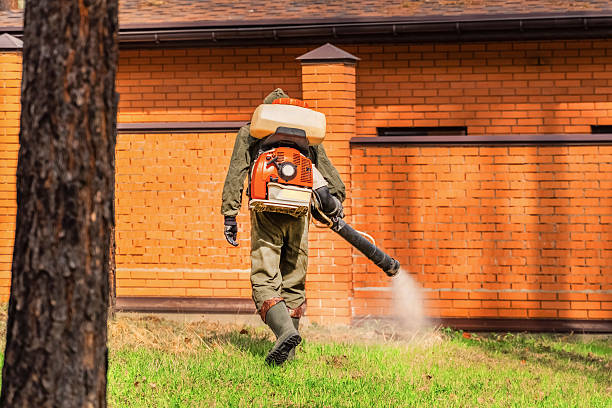 Trusted Rodent Control service in Prairie Village, KS - Nex Pest Control